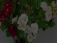 সিমুলেটেড গোলাপ ফুল ক্রস সীমানা মাল্টি মাথা সিমুলেটেড ফুল কৃত্রিম ফুলের তোড়া বিবাহের সজ্জা