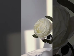 সিমুলেশন ফুল একক ম্যানটা গোলাপ ফুলের তোড়া শ্যুটিং প্রোপ, নর্ডিক হোম ডেকোরেশন বিবাহের তোড়া cr