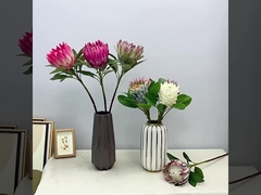 বসন্ত কালার সিমুলেশন রাজা ফুল শুটিং দৃশ্য সম্রাট ফুল বাড়ি জাল ফুল সজ্জা বিবাহের