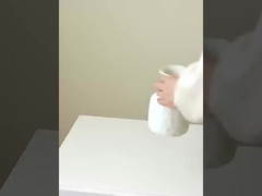 ৮টি ছোট্ট পার্সিমনের সিমুলেশন, আসল এবং নকল পার্সিমনের অনুকরণ, বাড়ির সাজসজ্জা, বিবাহ,