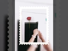 দেবী একক ছোট bouquet প্যাকেজিং স্বচ্ছ ওপ জলরোধী ফিল্ম ফুলের কাগজ ডাই-মেট আবৃত