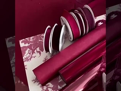 ২০২৪ অঙ্কেলা রেড এলিমেন্ট