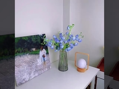 কৃত্রিম ফুল, ফ্লকিং, ফ্যালেনোপসিস, কৃত্রিম ফুল, রেশম ফুল, হোম প্রদর্শনী ফুল