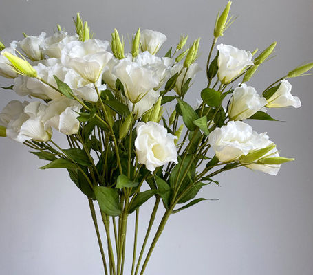 ভালো দাম 3 টুকরা সিমুলেটেড ক্যাম্পানুলা ফুল, ঘর সাজানোর অলঙ্কার, রেশম ফুল, ফটোগ্রাফি প্রোপার্টি, বিবাহের রাস্তা গাইড, দৃশ্যাবলী, জাল ফুলের তোড়া অনলাইন