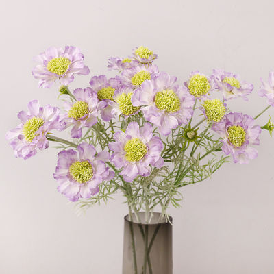 ভালো দাম সিমুলেশন হুইল পিক ক্রাইসেন্থেমাম পাইন কর্ডাইসেপস হোম নকল ফুল স্থাপন প্রোপস সজ্জা কর্নফ্লাওয়ার সিমুলেশন ফুল প্লাস্টিক অনলাইন