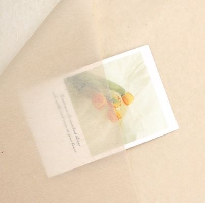 ভালো দাম Effortlessly Elegant Korean-Style Copy Paper for Flower Wrapping and Gift Packaging অনলাইন